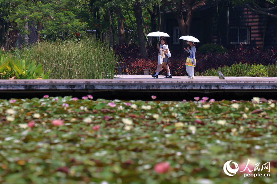 市民游客漫步于蓮池廊道。人民網(wǎng)記者 陳博攝