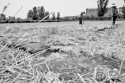 連日來，黃淮海持續(xù)高溫少雨，部分地區(qū)旱情仍在發(fā)展。圖為山東省肥城市通過蓄引提調(diào)相結(jié)合的辦法，多措并舉搶灌溉、保苗情。 新華社發(fā)