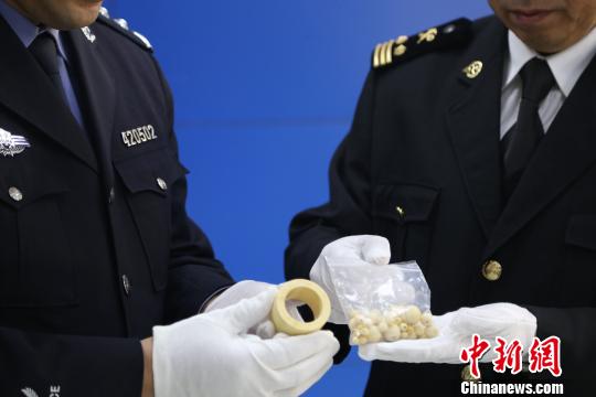 海關工作人員查獲象牙制品。　鮑曉康 攝