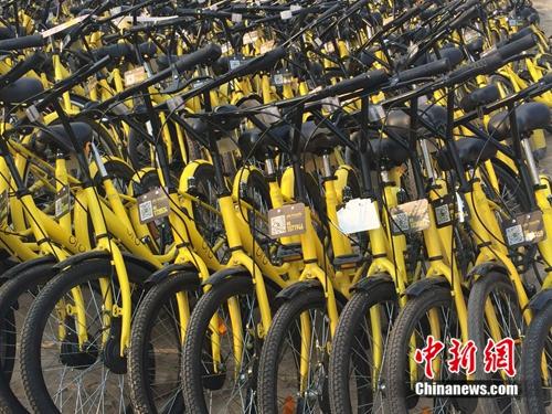 在共享單車維修點(diǎn)，很多共享單車二維碼被涂損。<a target='_blank'  _fcksavedurl='http://www.chinanews.com/' ></table>中新網(wǎng)</a> 吳濤 攝