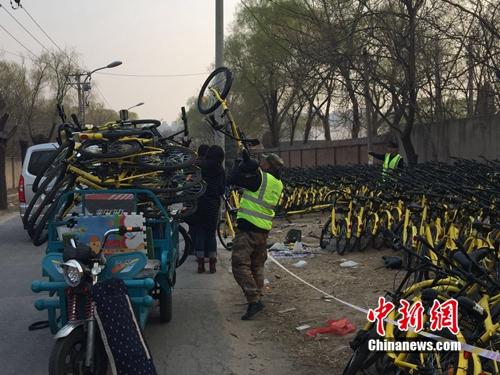 有故障的共享單車正源源不斷地送到維修點(diǎn)。<a target='_blank'  _fcksavedurl='http://www.chinanews.com/' ></table>中新網(wǎng)</a> 吳濤 攝
