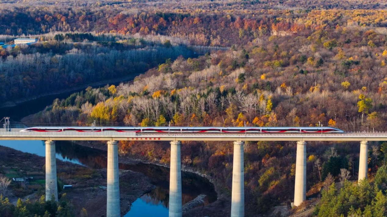 沈白高鐵正式開(kāi)通運(yùn)營(yíng)。受訪方供圖