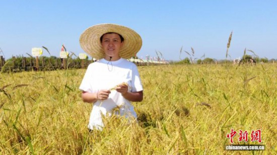 全國人大代表、寧安市渤海鎮(zhèn)上官地村黨支部書記、村委會主任陳雨佳在稻田中。 受訪者供圖