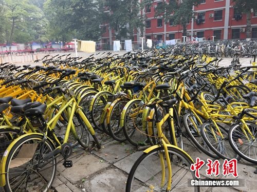 資料圖。北京某所高校內(nèi)的共享單車數(shù)量驚人。<a target='_blank'  _fcksavedurl='http://www.chinanews.com/' ></table>中新網(wǎng)</a> 吳濤 攝